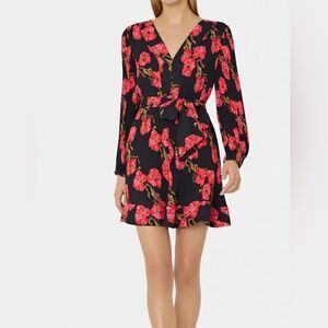 Milly Liv Pleated Dress size 4